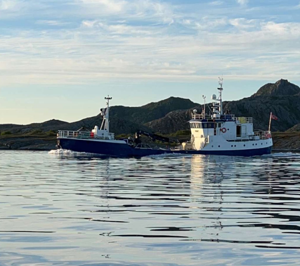 oddøy